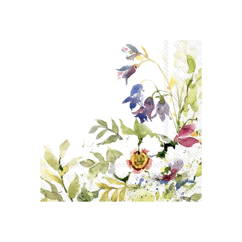 ibspot-24550301