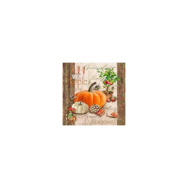 ibspot-26092220