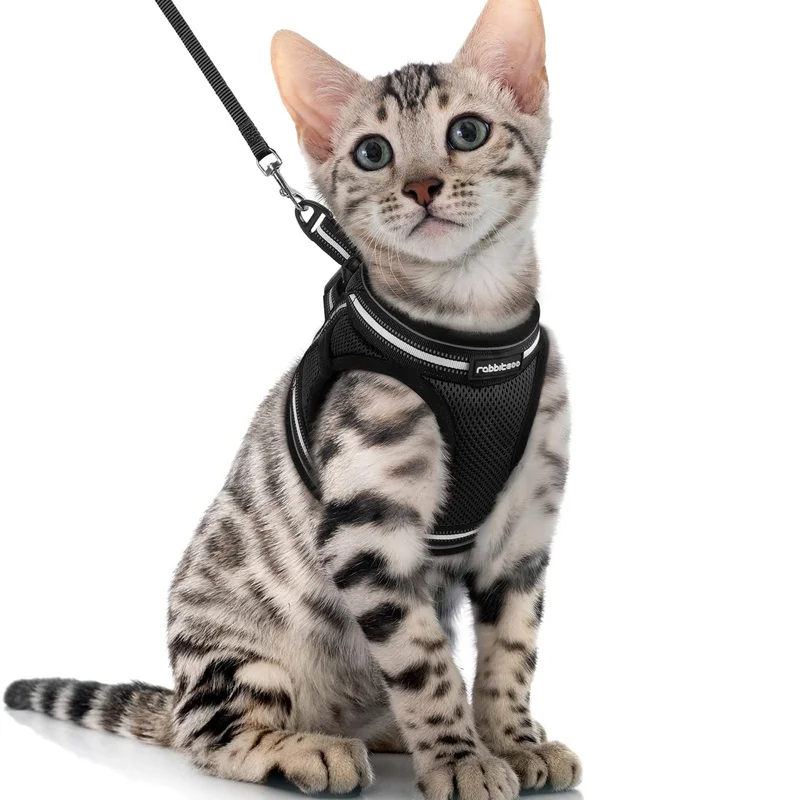 ibspot-34791386