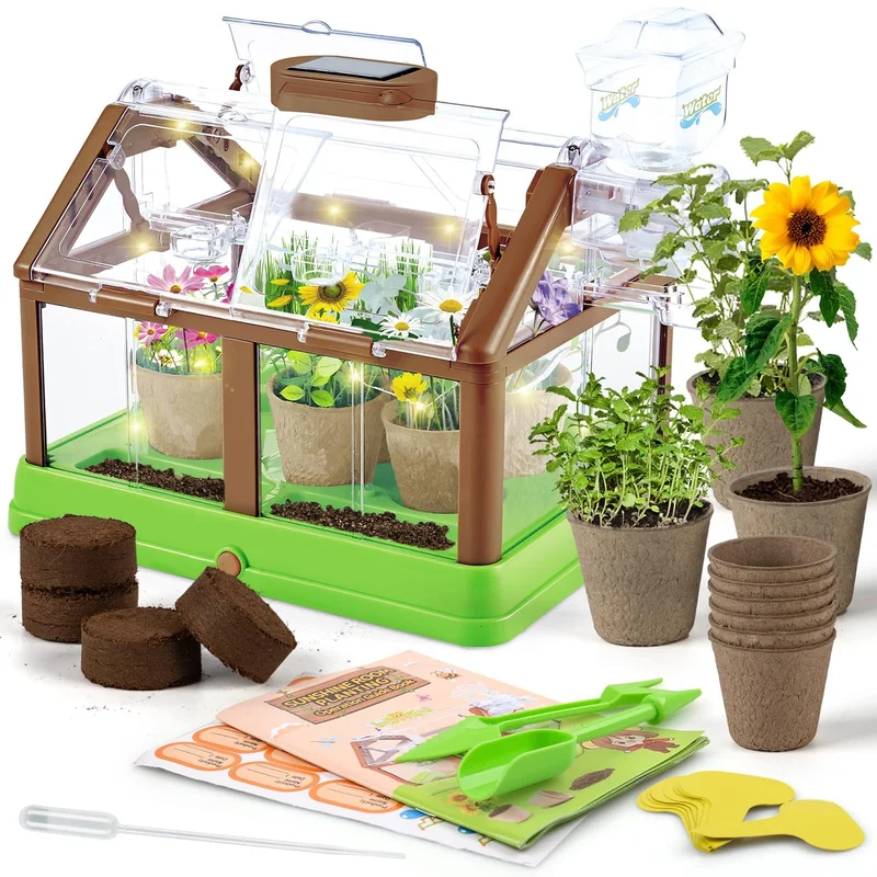 ibspot-34988084