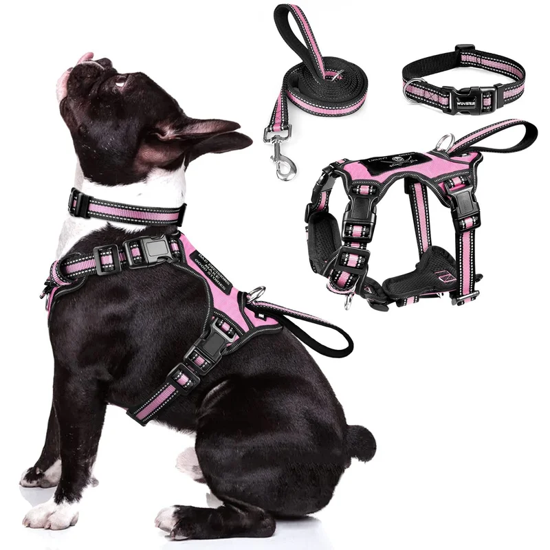 ibspot-35620304