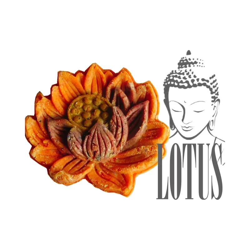 ibspot-35844974