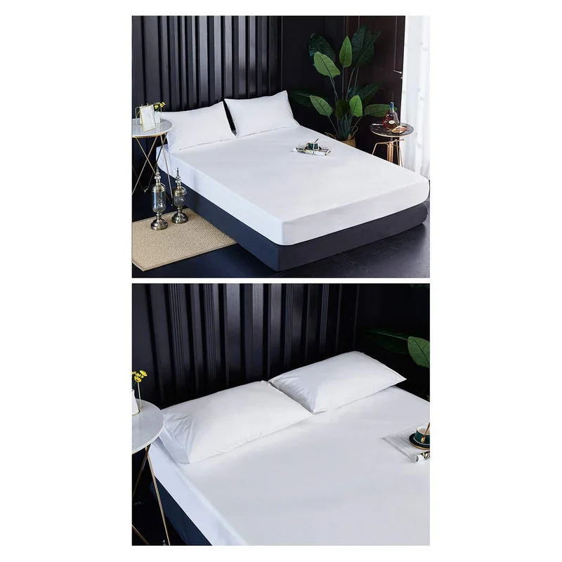 ibspot-44710048