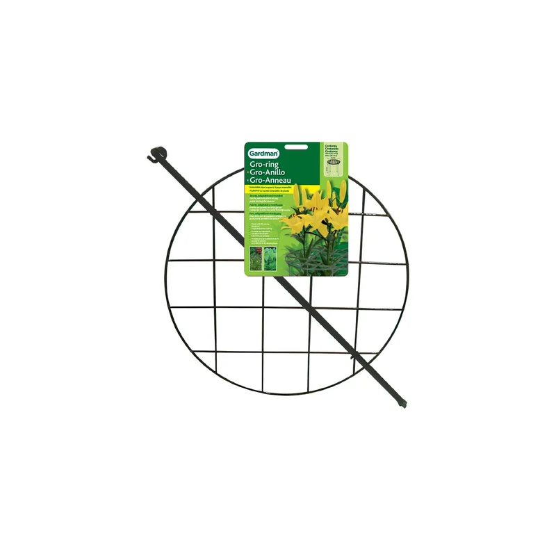 ibspot-45065966