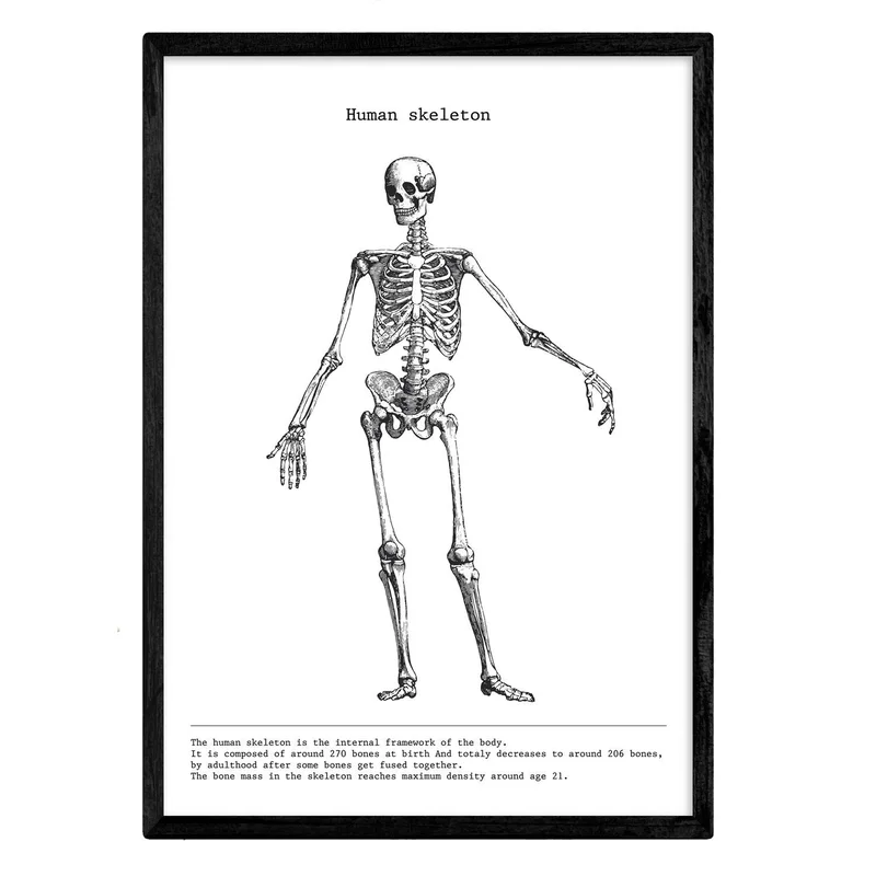 ibspot-5117601