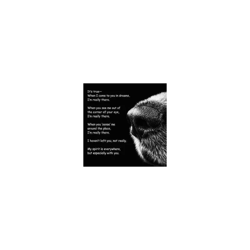 ibspot-54310540