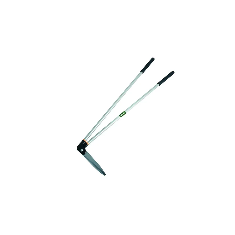 ibspot-54725188