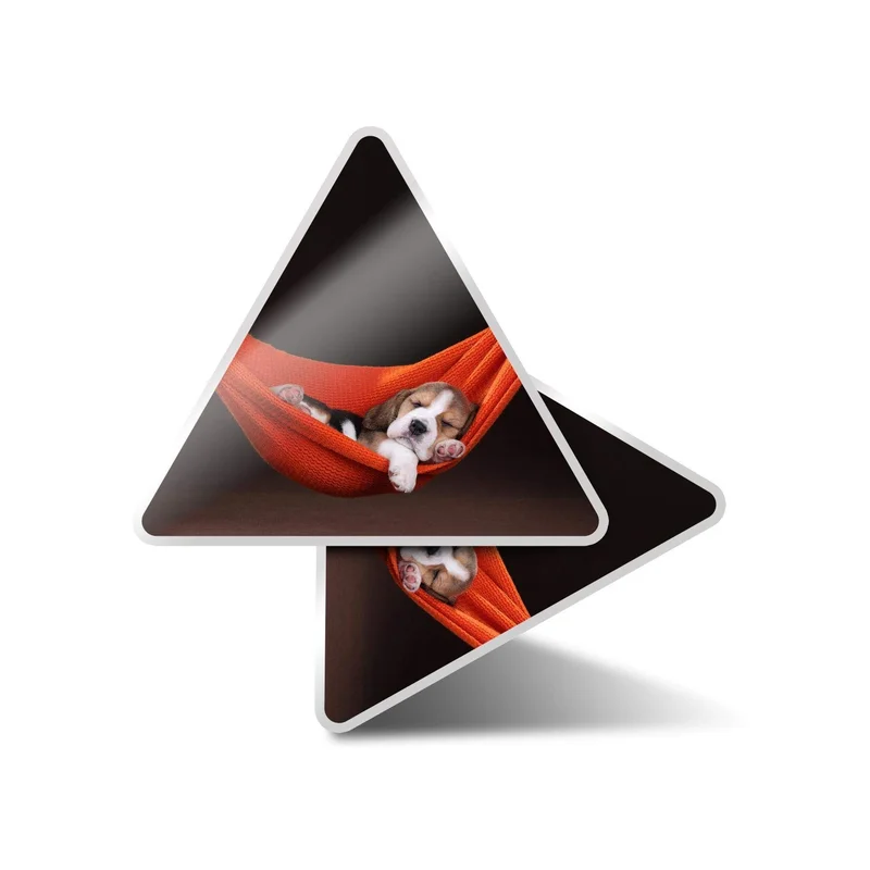 ibspot-55365391