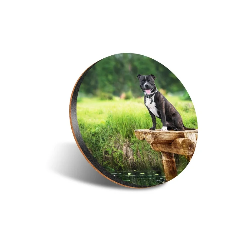 ibspot-55534933