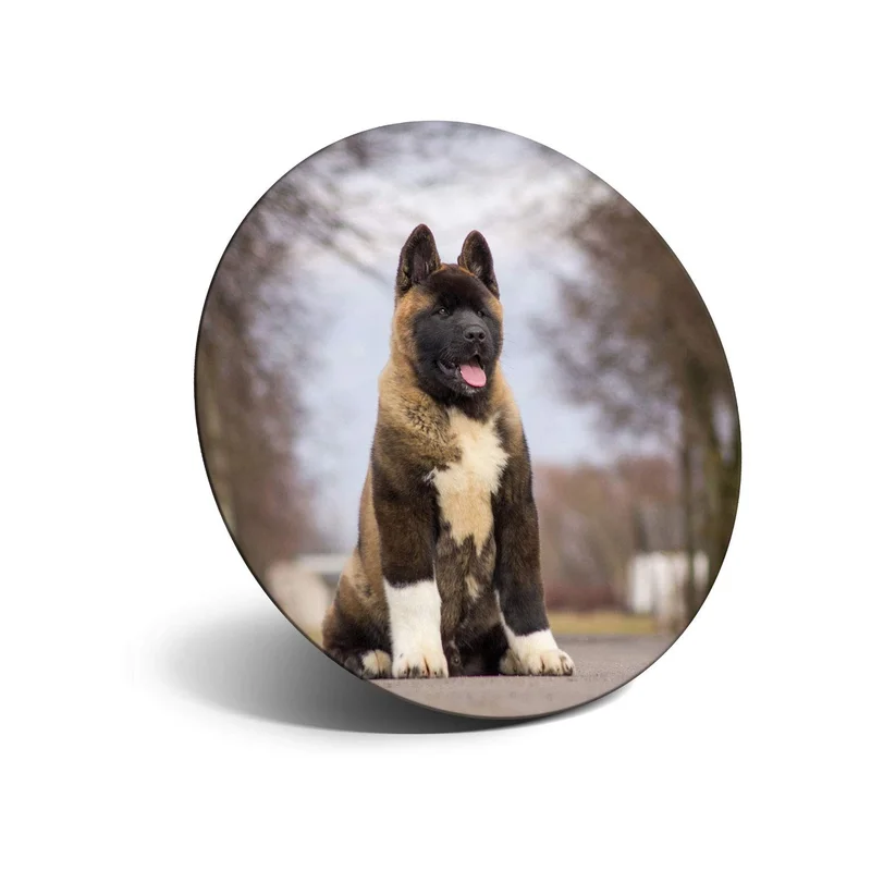 ibspot-55538547