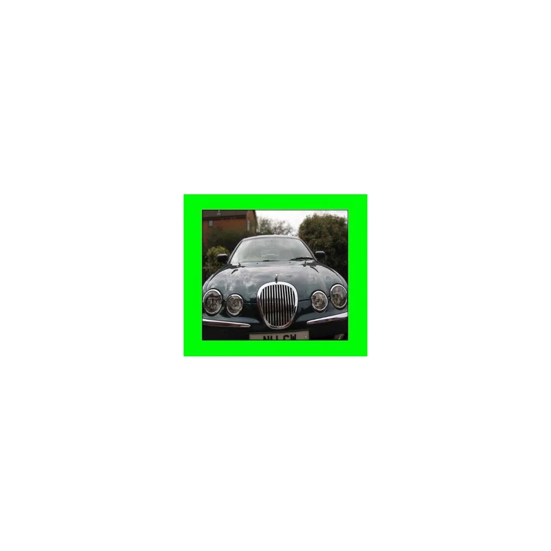 ibspot4232868