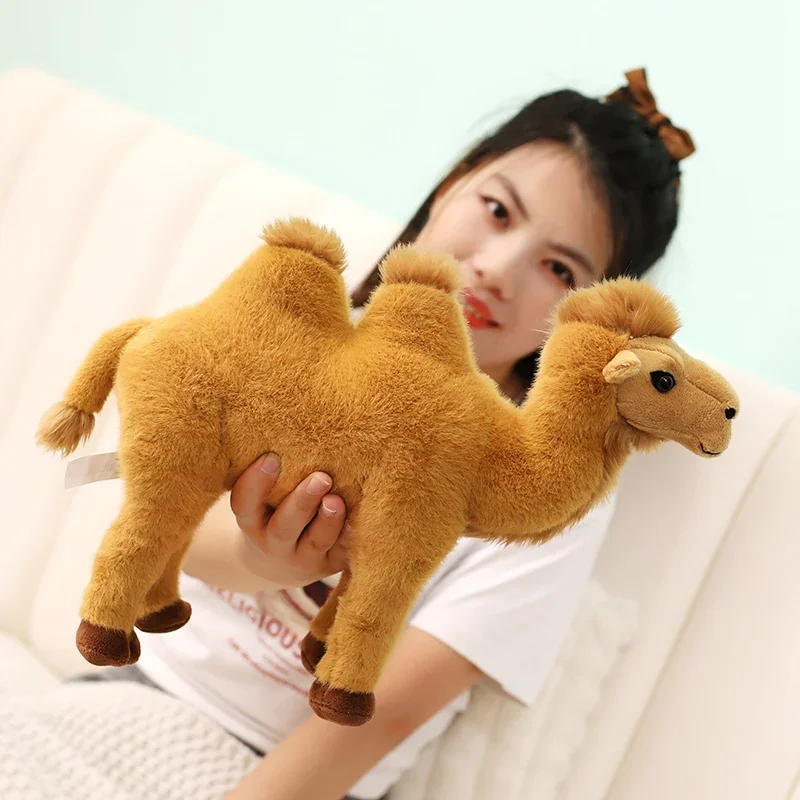lcpshop3788368