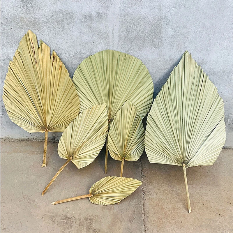 lcpshop4062441