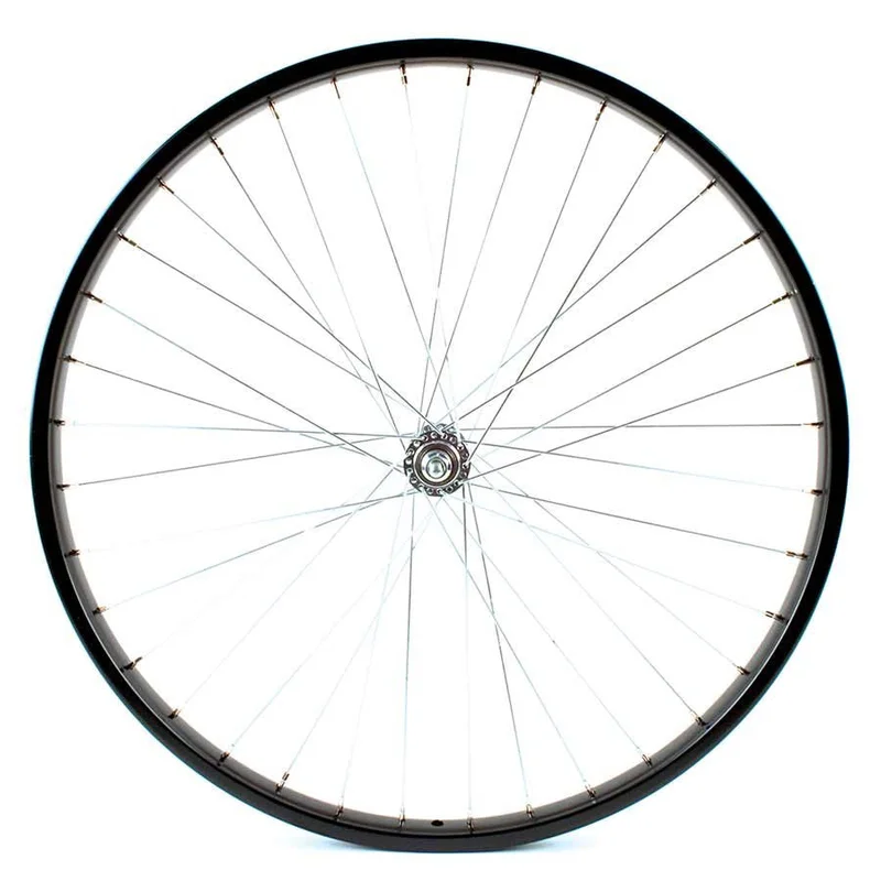 quantavici6656535