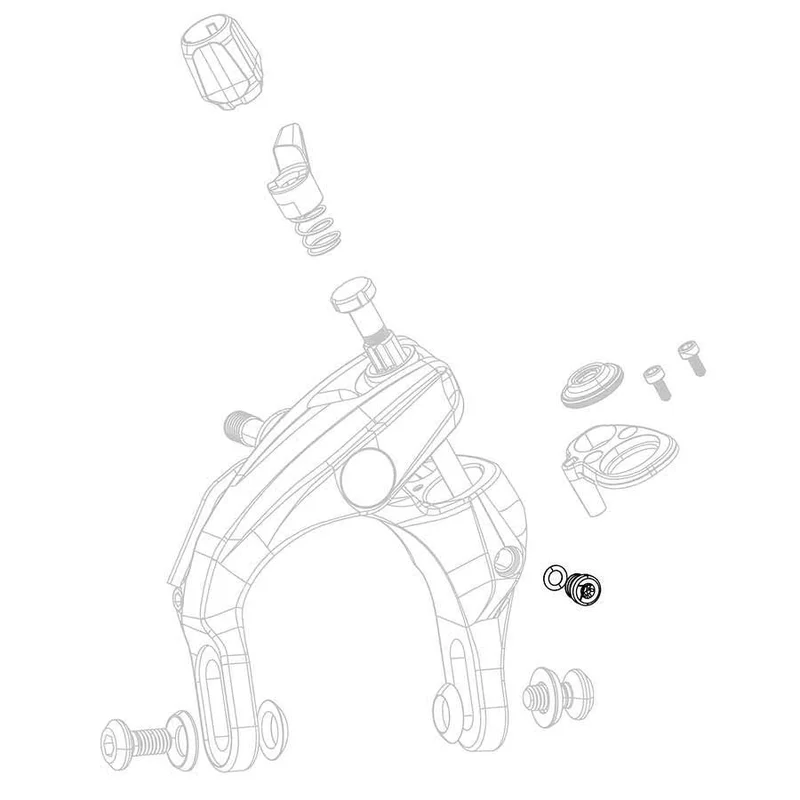 quantavici6670384