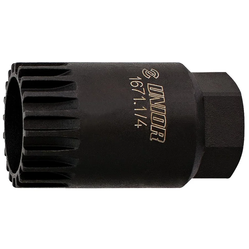 quantavici6716812