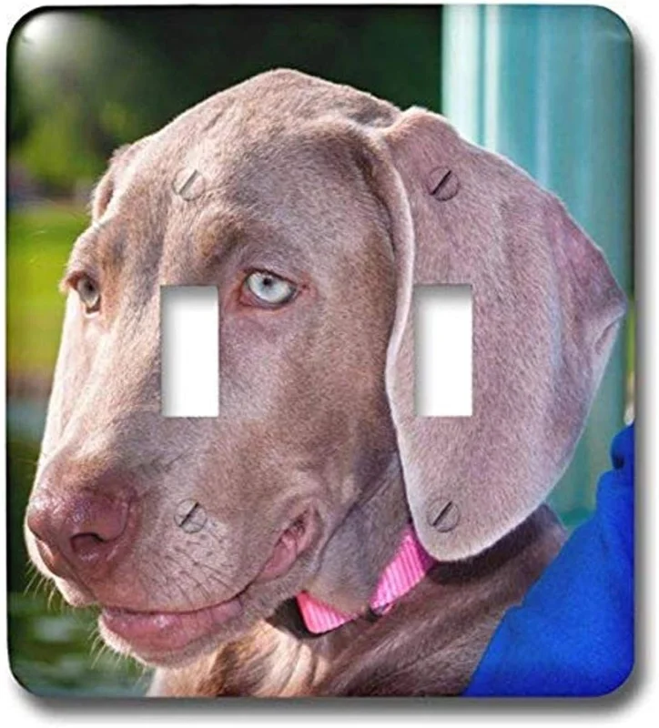 zeebooth-34163245