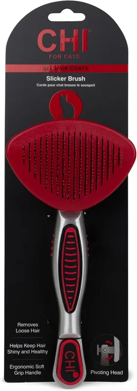 zeebooth-44503207