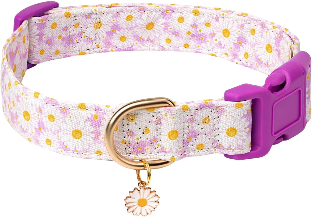 zeebooth-44524057