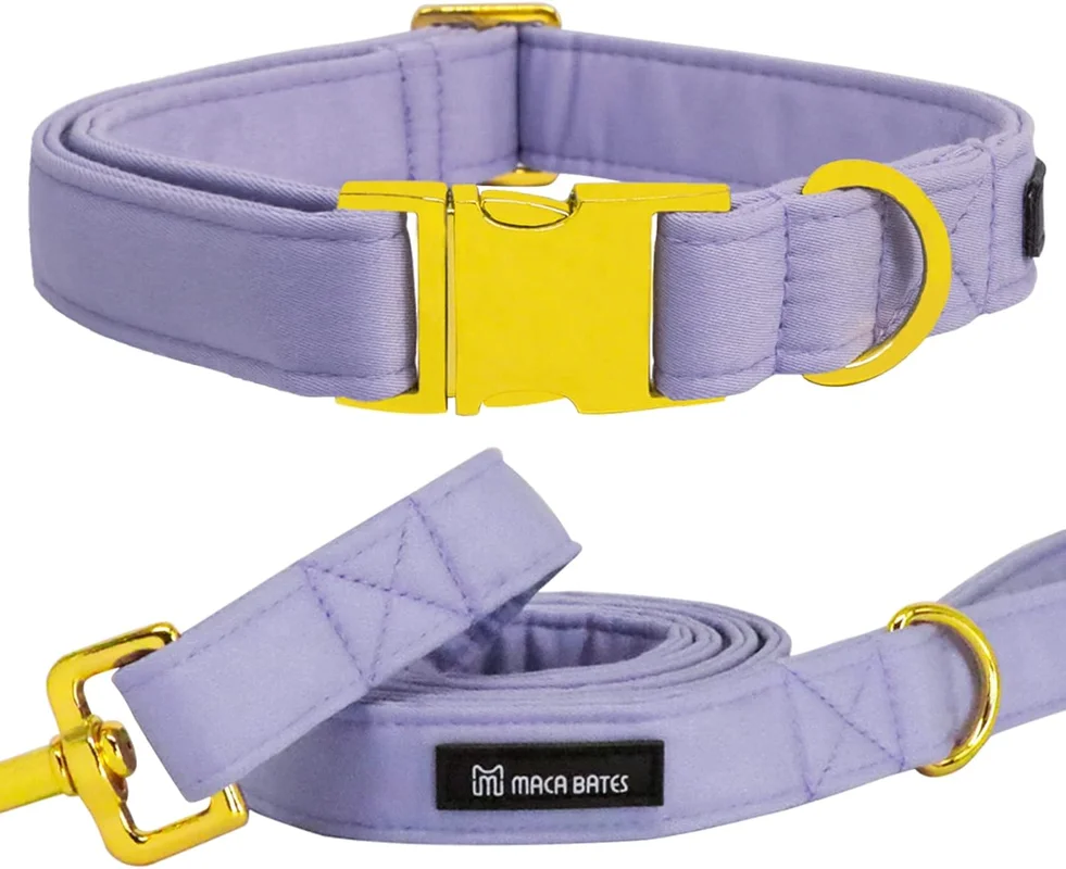 zeebooth-44584382