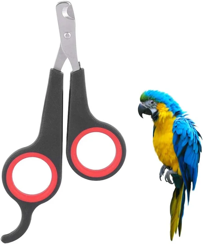 zeebooth-44651408
