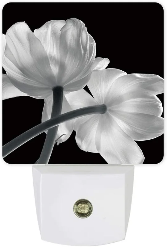 zeebooth4080587